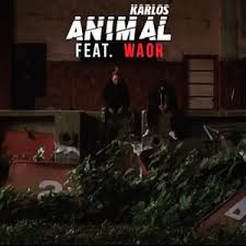 Animal Feat Waor